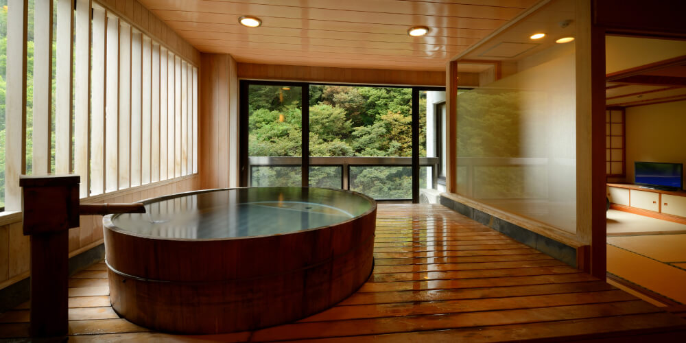 Rooms with a panoramic bath (private spring source)